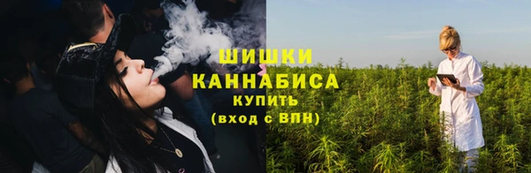 мдпв Бронницы