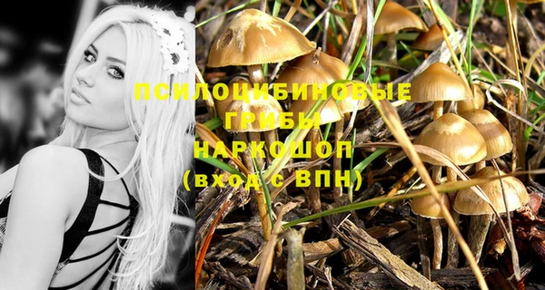 меф Осинники