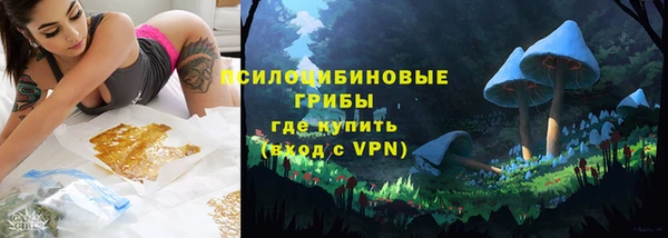 гидропоника Богородск