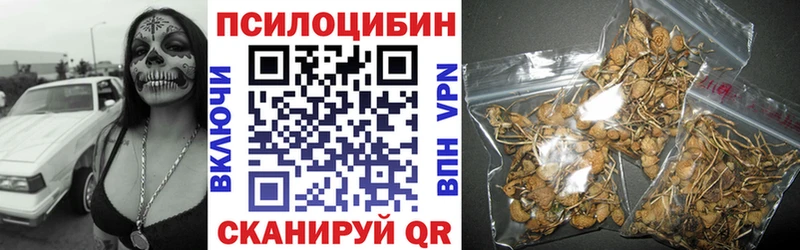 Псилоцибиновые грибы Cubensis  где продают наркотики  darknet состав  Красноармейск 
